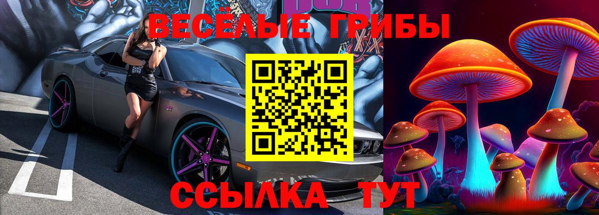 Великий Новгород  Галлюциногенные грибы ЛСД  Вход с VPN 
